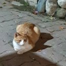 설악팬션 민박 이미지