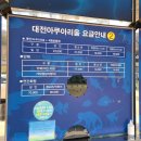 대전아쿠아리움 이미지