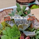 보령 나들이 1코스 이미지