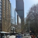 동물의 왕국 | In Sydney, Australia 2. 동물의 왕국