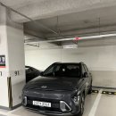 센트럴 하이브리드 | 코나 하이브리드 시승기 + 요즘 차 구경