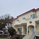 원산도가 | 보령펜션 찾다가 다녀온 원산도가, 봄 풍경이 정말 좋았던 힐링 후기