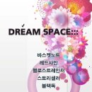 퀸라이브 Daum카페