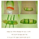 가장 쿨캣다운 요리..예쁘게 말아만든<배추말이 쇠고기 버섯 전골> ^^ 이미지