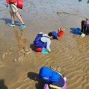 나리와꽃창포 | [아이와 함께] 충남 태안 나리와 꽃창포 독채 펜션 - 꽃창포룸 (Feat. 조개 캐기 갯벌체험)