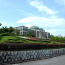 경북대학교 Daum카페