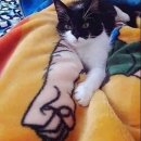 더에스플란트치과의원 이미지