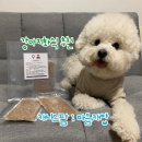 캐니스팜 이미지