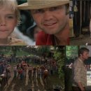 챔프이야기 이미지