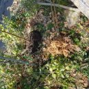 역귀농장 이미지