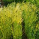 지경 그곳 이미지