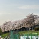 세븐일레븐 대구동구점 이미지