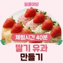 청년모종 | 2026년 진주 딸기 축제 다녀온 후기 및 꿀팁!