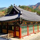 신흥사 - 중구 | 신흥사