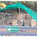 토끼사육장 인근(배봉산) Daum카페