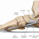 운동케어센터 이미지