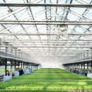 에이티20(AT20) 이미지