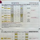 정관장완도점 | 제주에서 육지로 여객터미널 배 시간표(25년 10월)