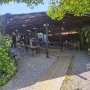 코스모스와 메밀가든 이미지