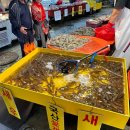 민영수산 | [인천 논현동]민영활어공장_소래포구 초밥맛집 추천_새우랑꽃게랑 성원수산_생새우_내돈내산