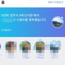 주식회사 댓츠잇 네이버블로그