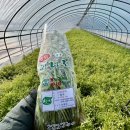 대진농산 이미지