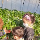 봄이네농장 이미지