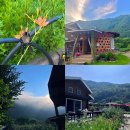 반딧불황토방 이미지