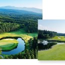 힐링골프 이미지