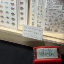 B32 | 서일페 서울 일러스트레이션 페어 겨울 2025 후기