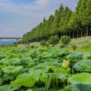 공주공원 이미지