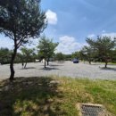 삼화리 동광 캠핑장 이미지