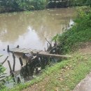 나루터로1-5 이미지