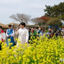 '한국 관광의 별' 완 도 청산도슬로걷기축제 4월 5일부터 한 달 이미지