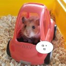 경기도 수원시 팔달구 권광로134번길 39 (인계동) | 9월 20일 데일리코디 | 평택 부대찌개 맛집 김네집 후기 | 수원 인계동 생선구이 맛집 추천