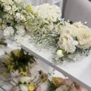 첼리 | [수원 웨딩스튜디오]모먼트오브첼리 드레스 피팅후기👗