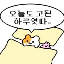 새벽회군산점 이미지