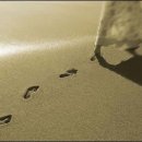 길에서(On The Road) 이미지