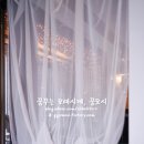 디스앤댓 - 성북구 월곡로18길 18 | 디스앤댓