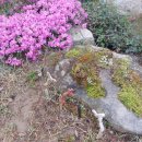 강빛마을 이미지