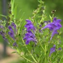 황금3로 이미지