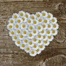 성진부동산앞 이미지