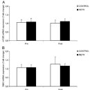 MUSCLE FLOW 이미지