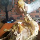 절골가든 이미지