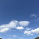 알퐁스펜션 이미지