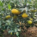 복기농장 이미지