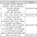 새로운 수술[갱신형 32대질병수술비(간편가입)보장 특별약관[60일 경과], 갱신형 질병수술비(간편가입)보장 특별약관[365일 경과]] 이미지