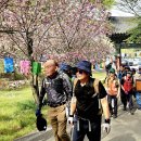 서산 문수사 상왕봉~개심사 트래킹(울타리 산악회와) 이미지