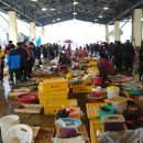 자갈치시장 이미지