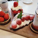 우주주택 이미지